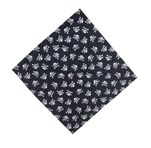 BLACK & WHITE SKULL PRINT BANDANA