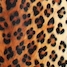 Fabric sample 1