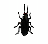 HALLOWEEN PUNK BLACK BUG RING